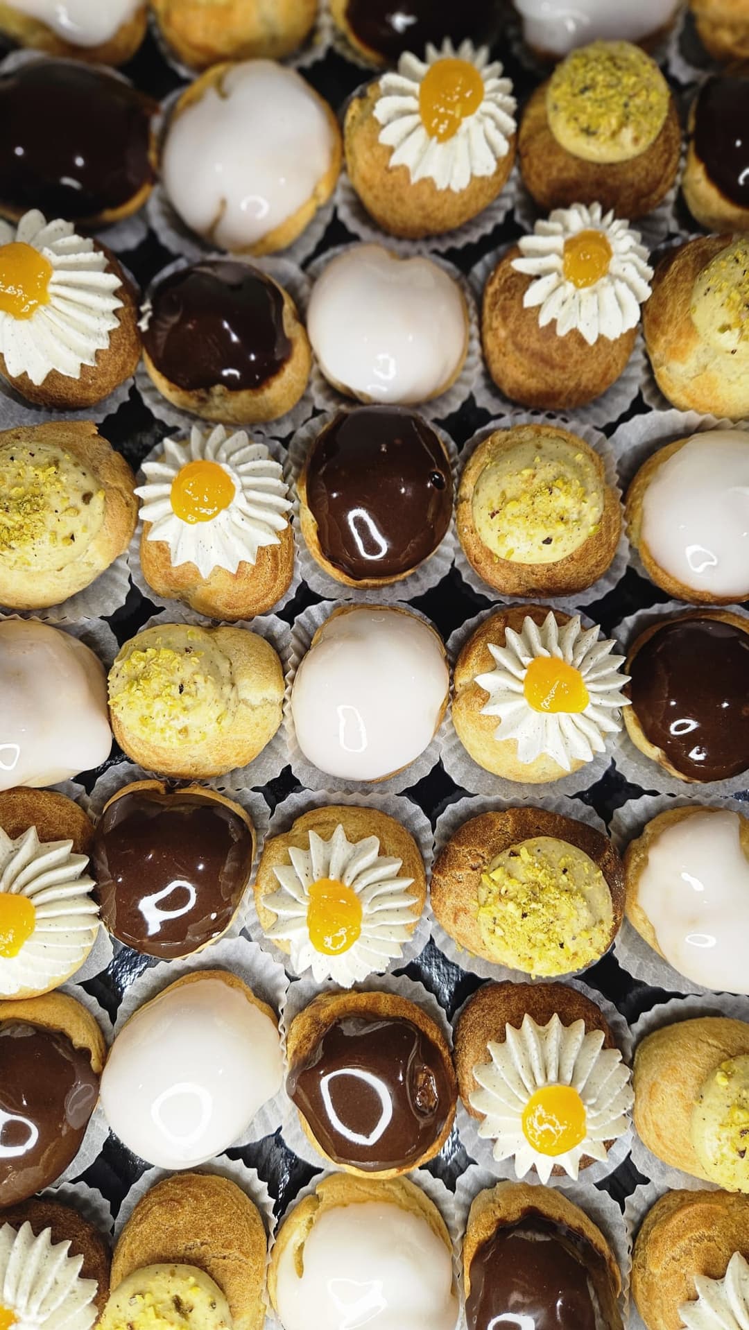 Choux visuel 1