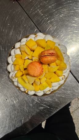 Mangue miniature 2